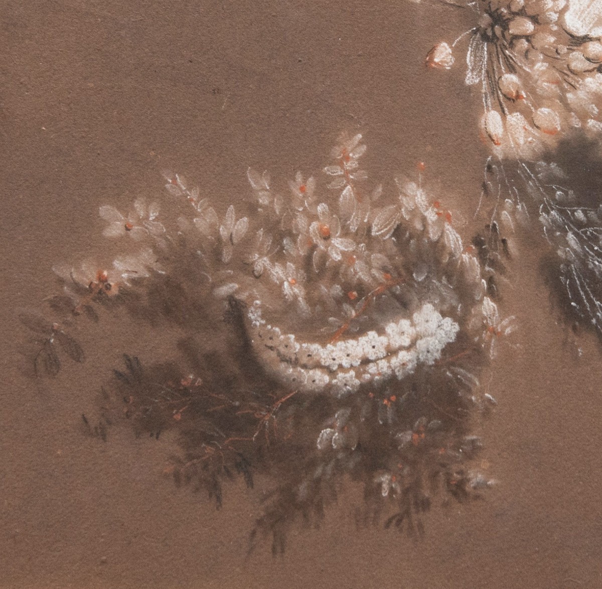 Antoine Berjon (lyon, 1754 - Id., 1843) - Study Of Flowers -photo-4
