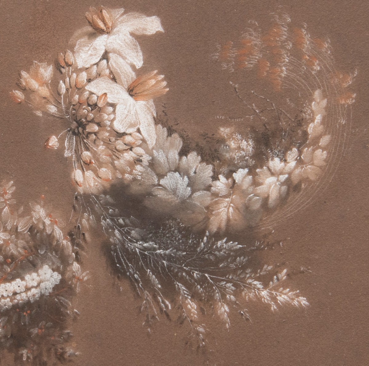 Antoine Berjon (lyon, 1754 - Id., 1843) - Study Of Flowers -photo-1