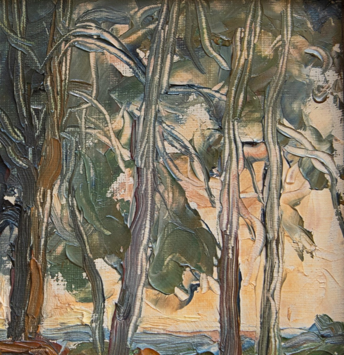 Eugène Brouillard (1870-1950), Les Troncs Couchés-photo-2
