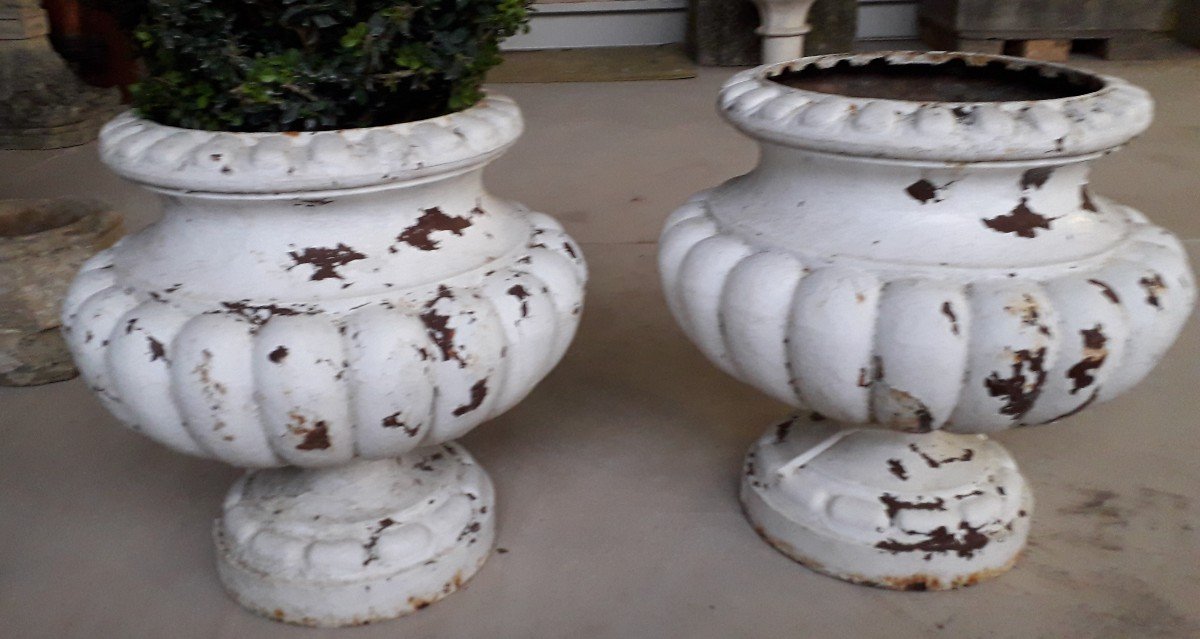 Pair Of Old Medici Style Cast Iron Godron Vases