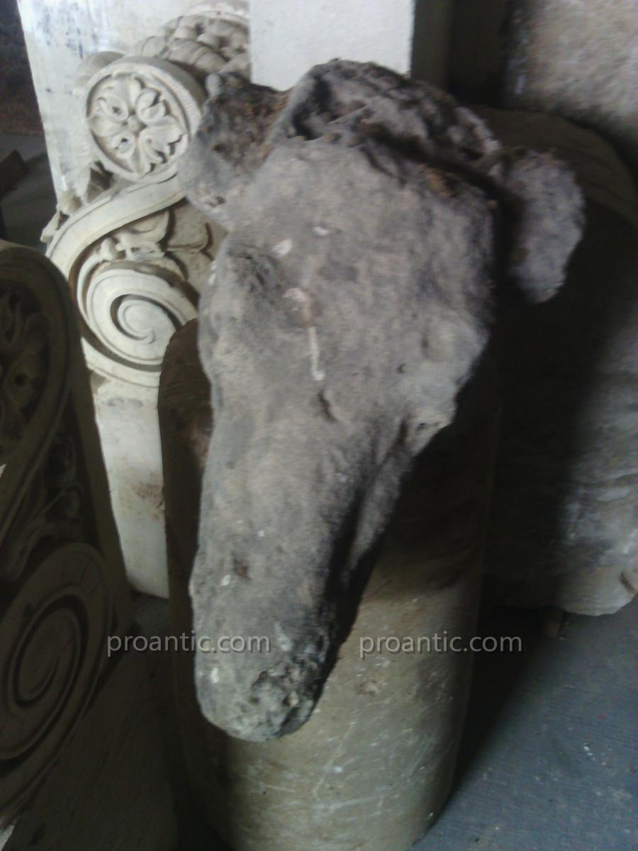 Deer Head Sculpure XVIII-photo-2