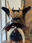 1785754-alb-6a5215d895f72.jpg
