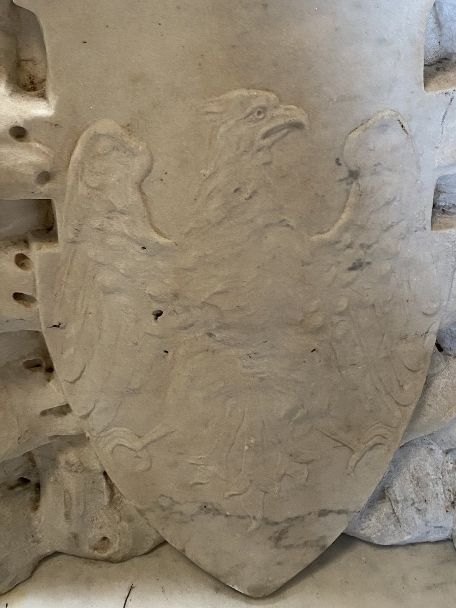 White Marbre Blason-photo-2