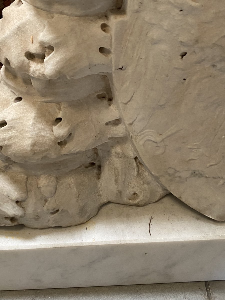 White Marbre Blason-photo-3