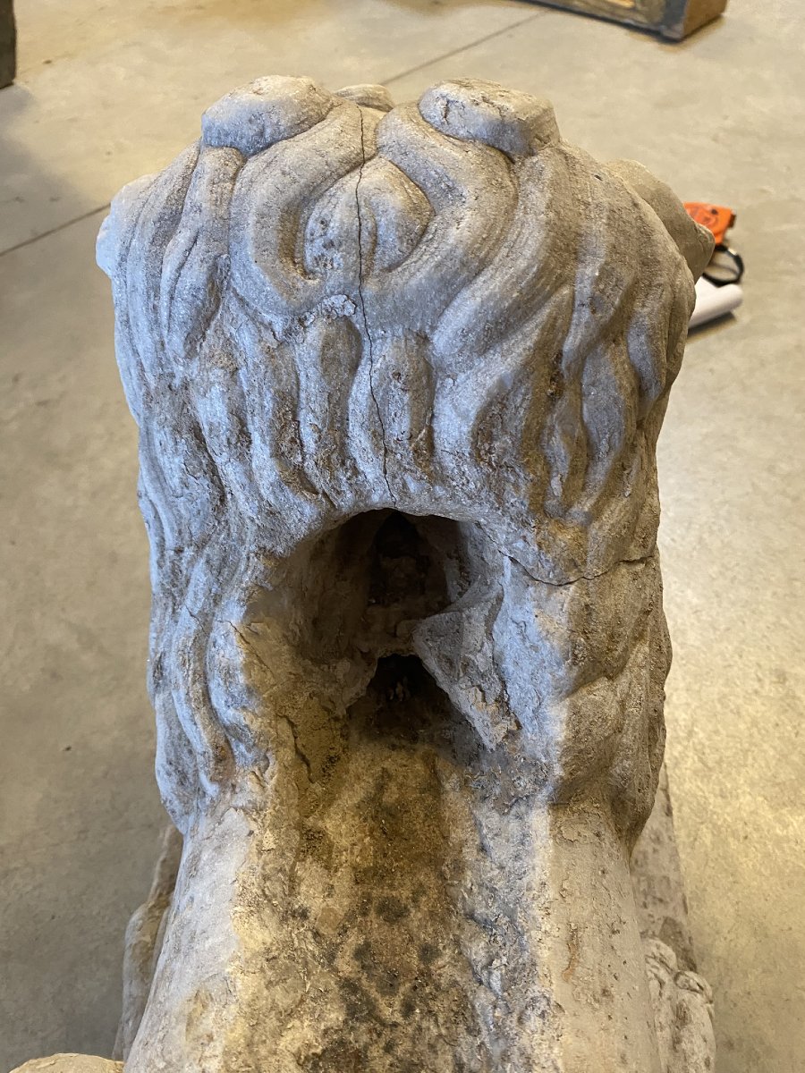 SCULPTURE EN MARBRE BLANC D'UN LION -photo-7