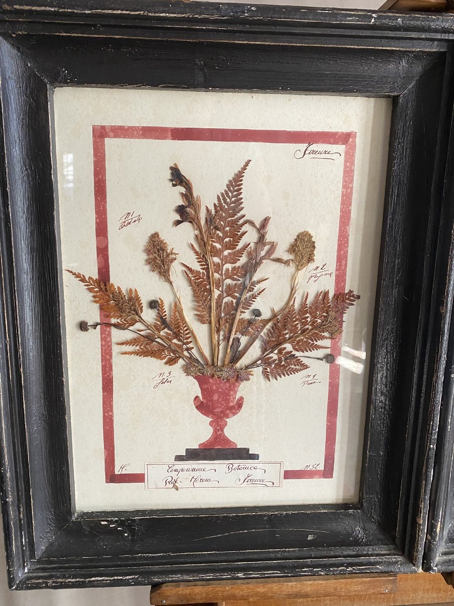 Pair Of 20th Century Herbarians-photo-2