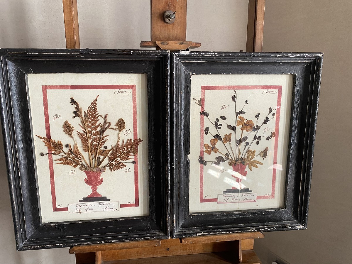 Pair Of 20th Century Herbarians