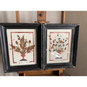 Pair Of 20th Century Herbarians
