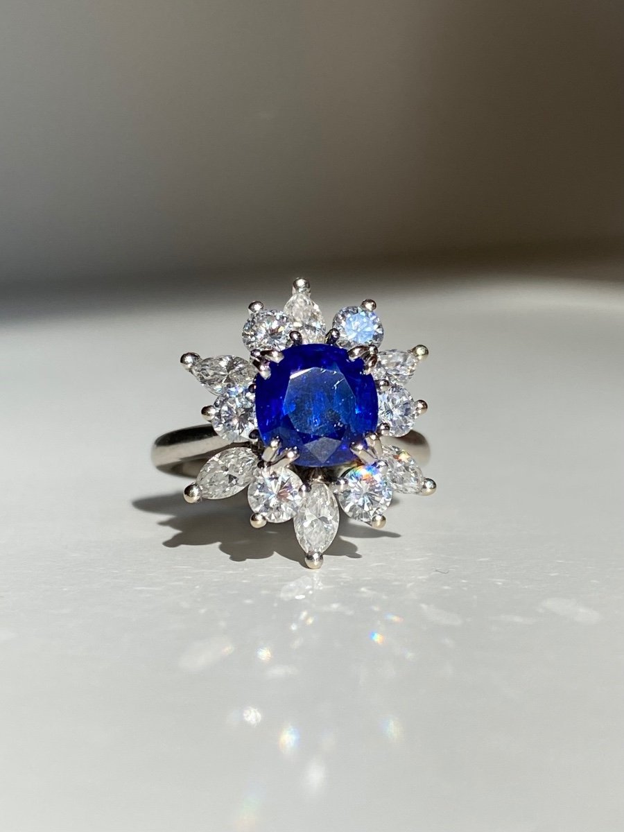 Bague En Or Blanc 18k Ornée d'Un Saphir Birman Non Chauffé-photo-1