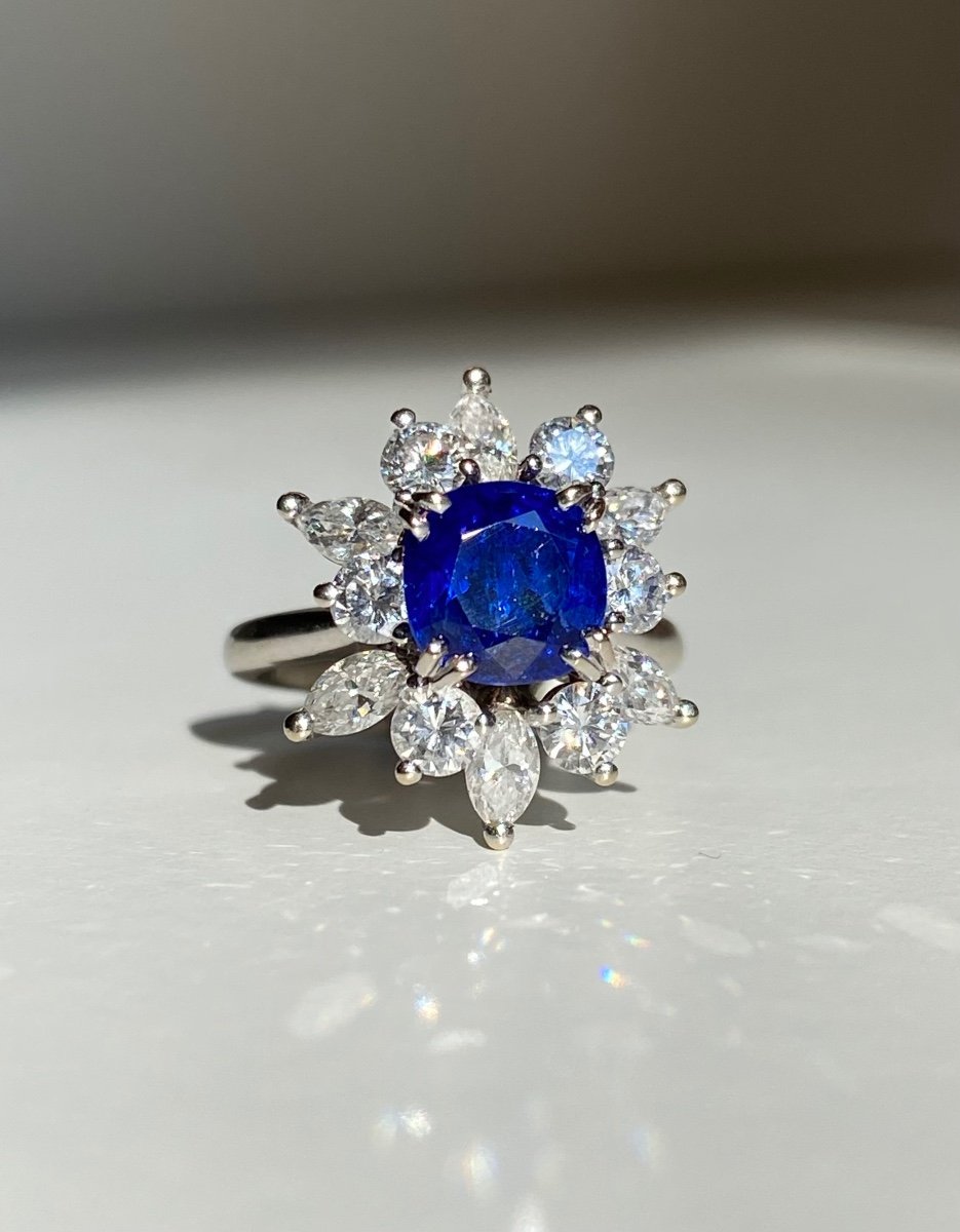 Bague En Or Blanc 18k Ornée d'Un Saphir Birman Non Chauffé-photo-2