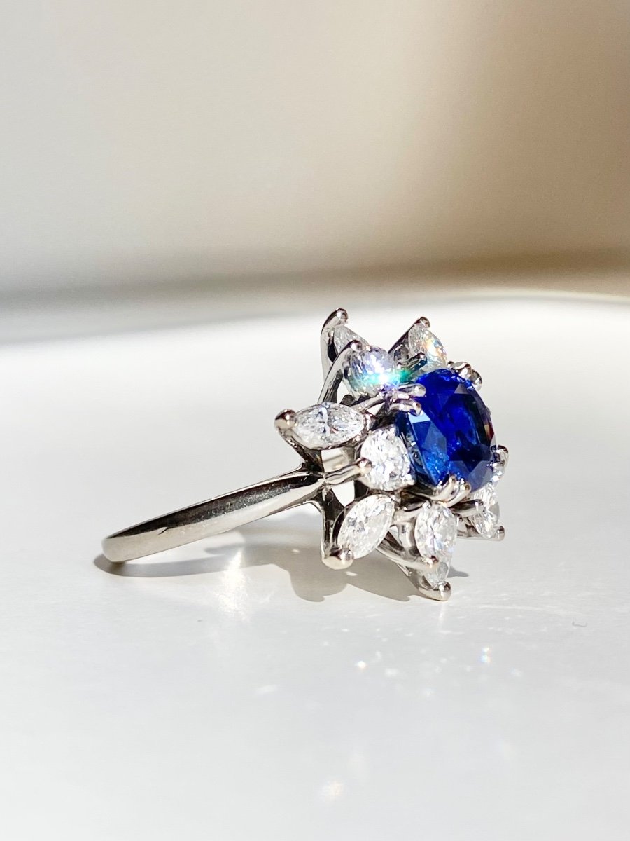 Bague En Or Blanc 18k Ornée d'Un Saphir Birman Non Chauffé-photo-3