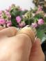 1780443-alb-6a3301d5ecc68.jpg