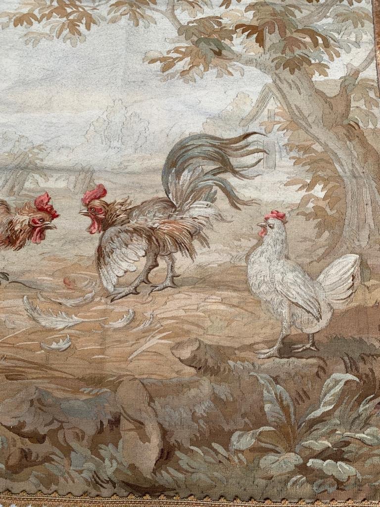 Aubusson Tapestry From 19th Century Rooster Fight Scene-photo-2