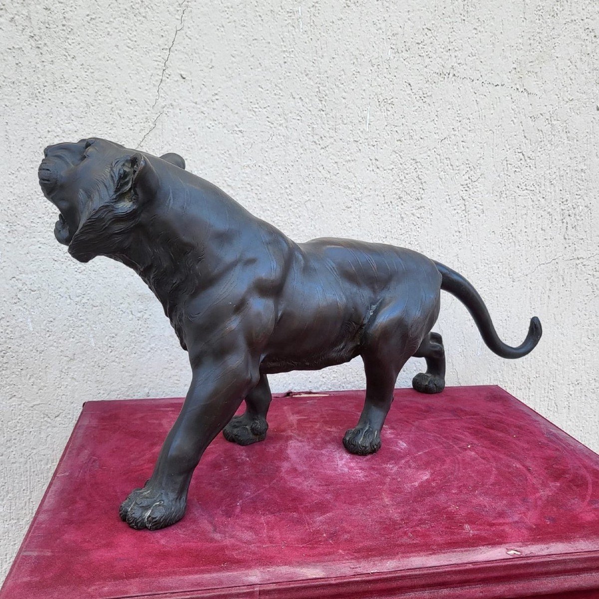 Tigre, Bronze Japon, Ere Meiji, XIXème Siècle-photo-4