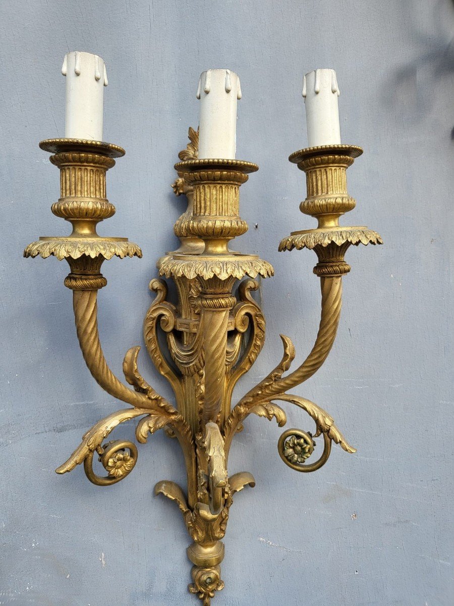 Paire d'Appliques En Bronze Doré Louis XVI, XIXème Siècle-photo-8