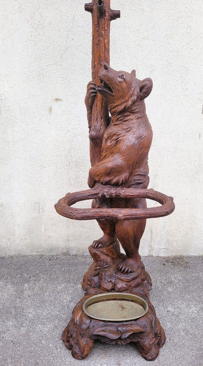 Black Forest, Bear Coat Rack, Late 19th Early 20th Century-photo-2