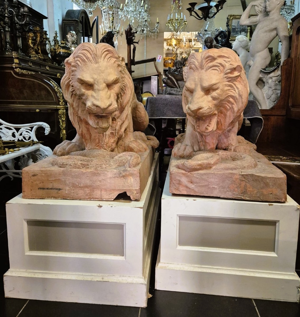 Paire de lions en terre cuite, H68cm L104cm, sur socle, XIXème siècle-photo-4