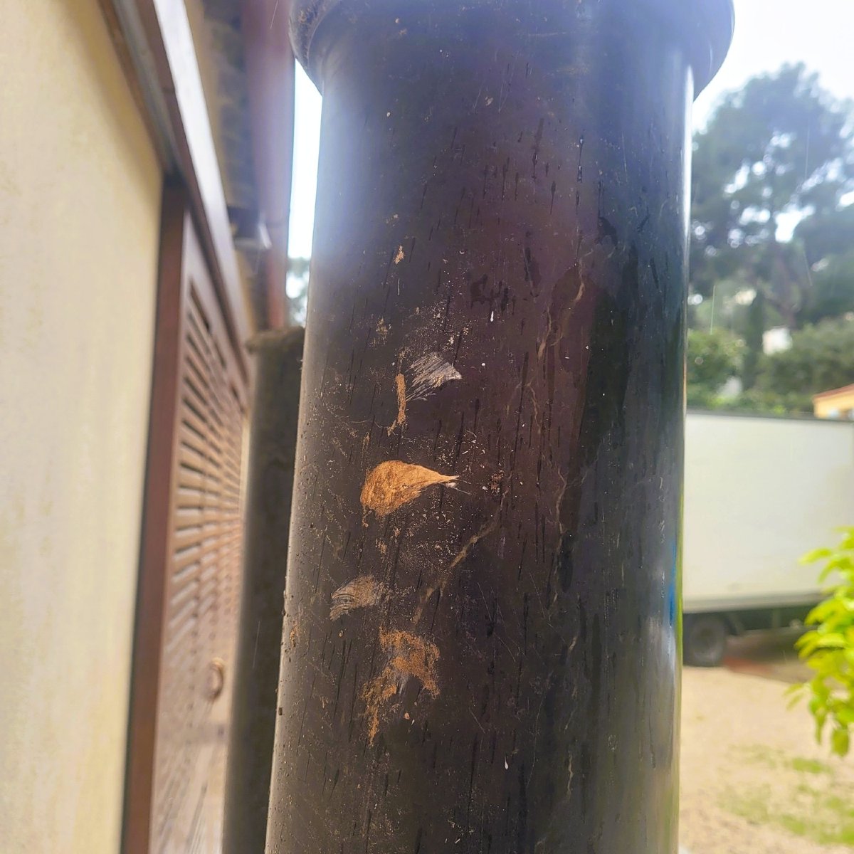 Paire de colonnes en marbre vert, H190cm, XIXème siècle-photo-7