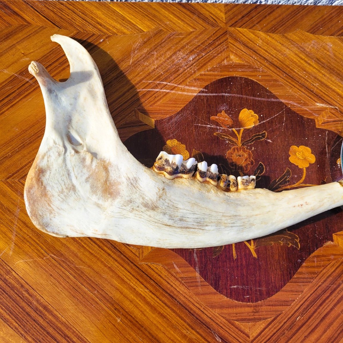 Gucci, ensemble d'objets en corne, XXème siècle-photo-7