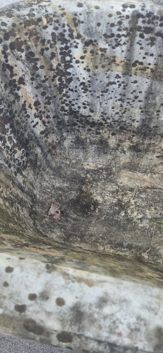 Marble Bathtub With Rings, 19th Century-photo-3
