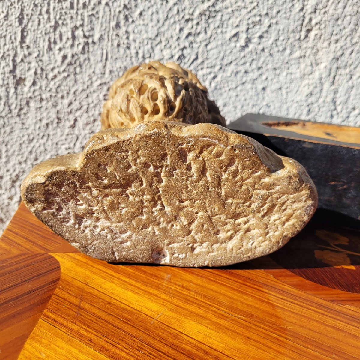 Carved Stone Bust, Italy, 15th Or 16th Century-photo-8