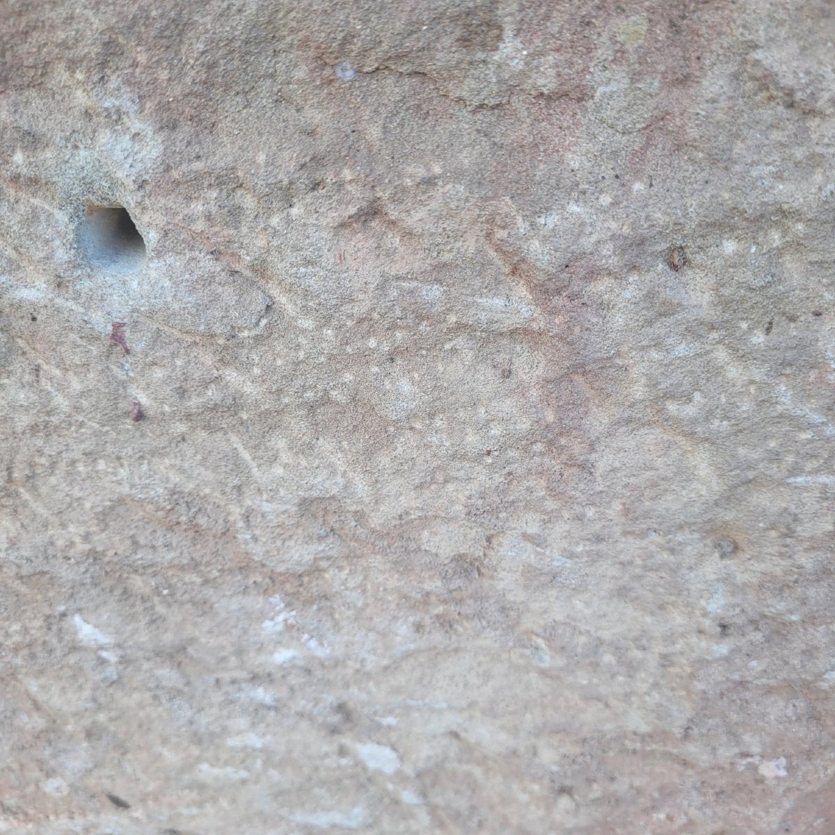 Rare bas-relief en pierre sculptée à l'antique, 1ere partie du XIXème siècle-photo-7