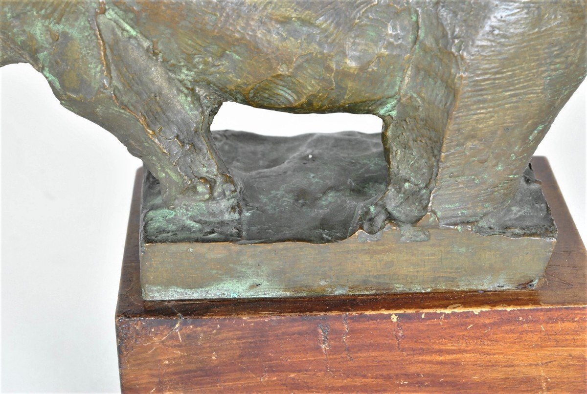Animal Sans Tête, Sculpture En Bronze, Années 50/60-photo-8
