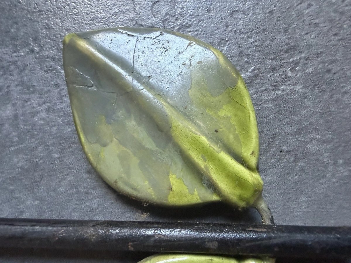 Ceramic Hand Mirror "camélia" By Mithé Espelt - Circa 1965-photo-7