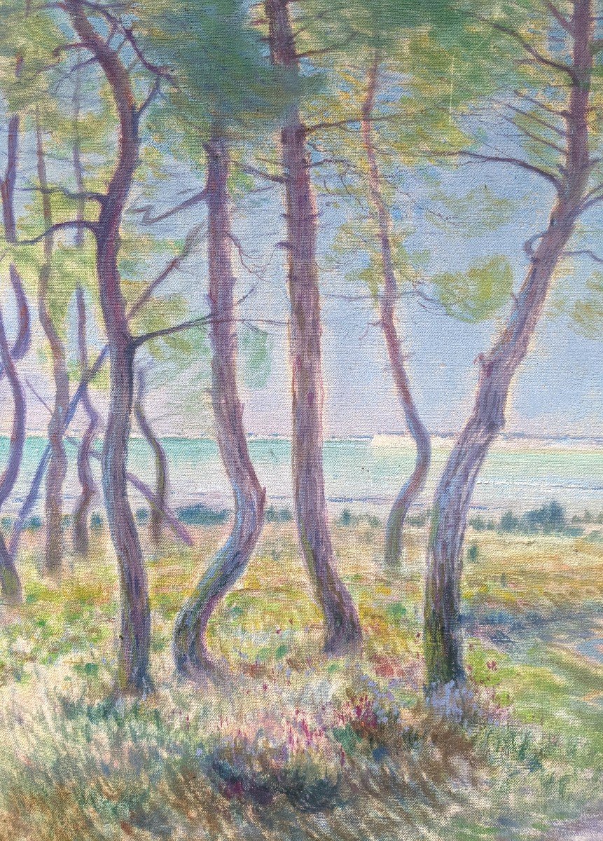 Pierre Bertrand, Pines By The Sea - Impressionist Landscape-photo-3