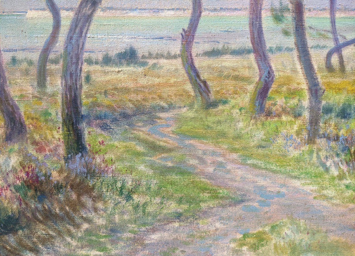 Pierre Bertrand, Pines By The Sea - Impressionist Landscape-photo-4