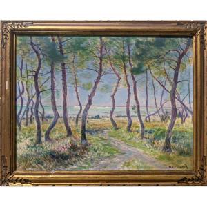 Pierre Bertrand, Pines By The Sea - Impressionist Landscape