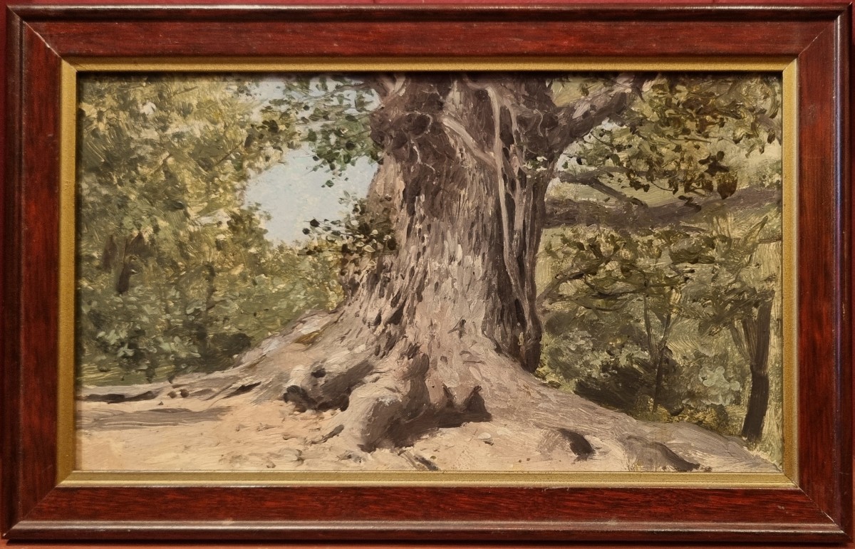 French School Of The Mid-19th Century - Study Of A Tree Trunk-photo-2