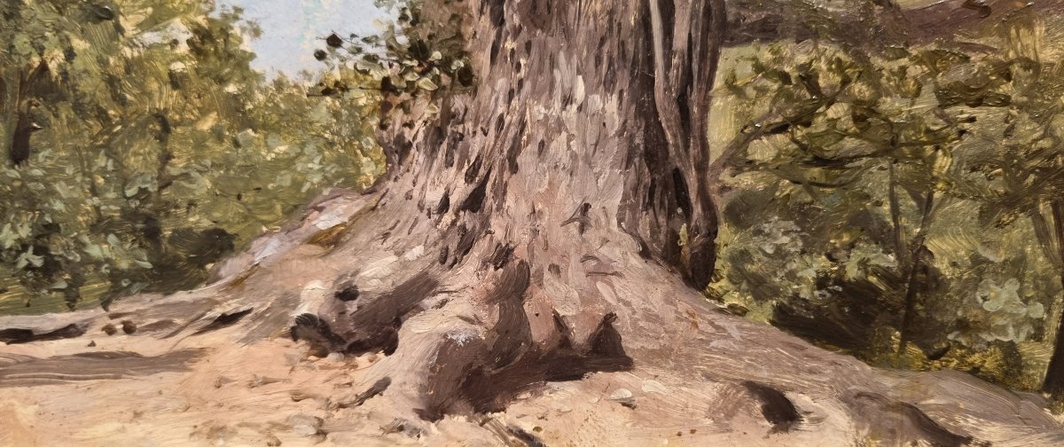 French School Of The Mid-19th Century - Study Of A Tree Trunk-photo-3