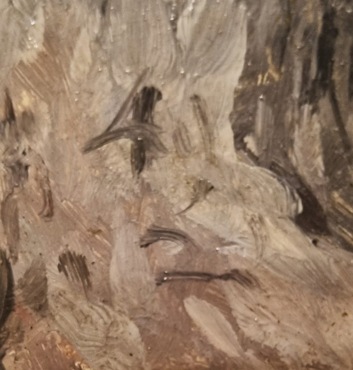 French School Of The Mid-19th Century - Study Of A Tree Trunk-photo-2