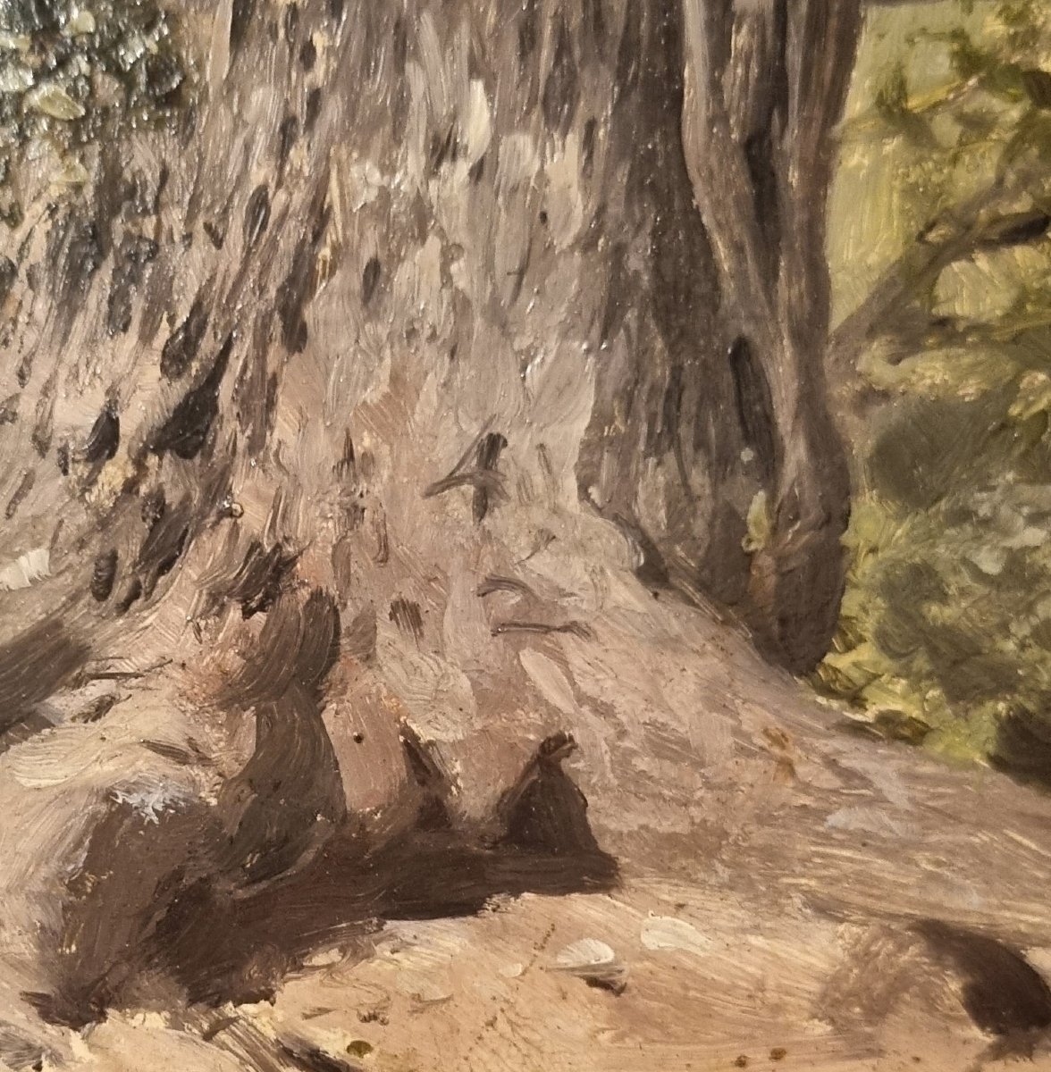 French School Of The Mid-19th Century - Study Of A Tree Trunk-photo-3