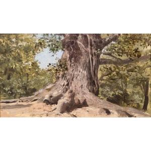 Premiere-Image-1666073