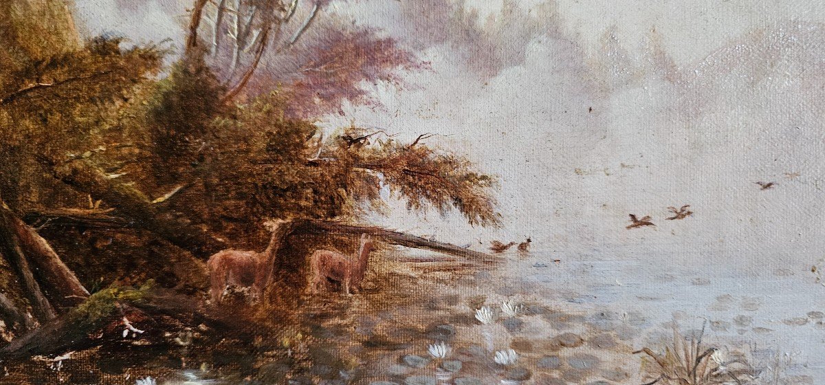 Oil On Canvas Barbizon, Animated Undergrowth -photo-1