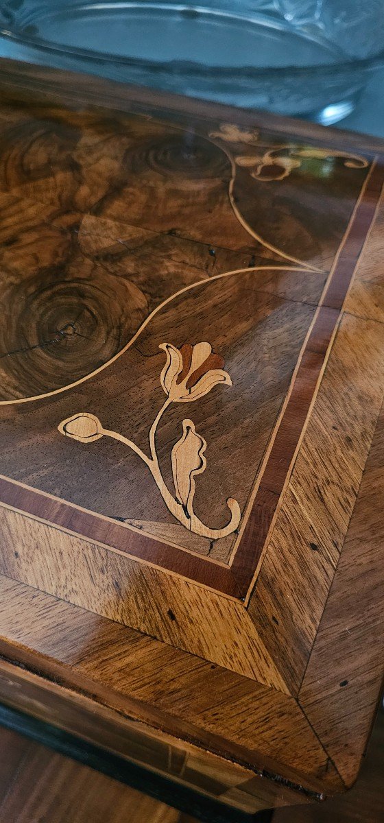 Large Box In Flower Marquetry, Rhine Valley 18th Century.-photo-3