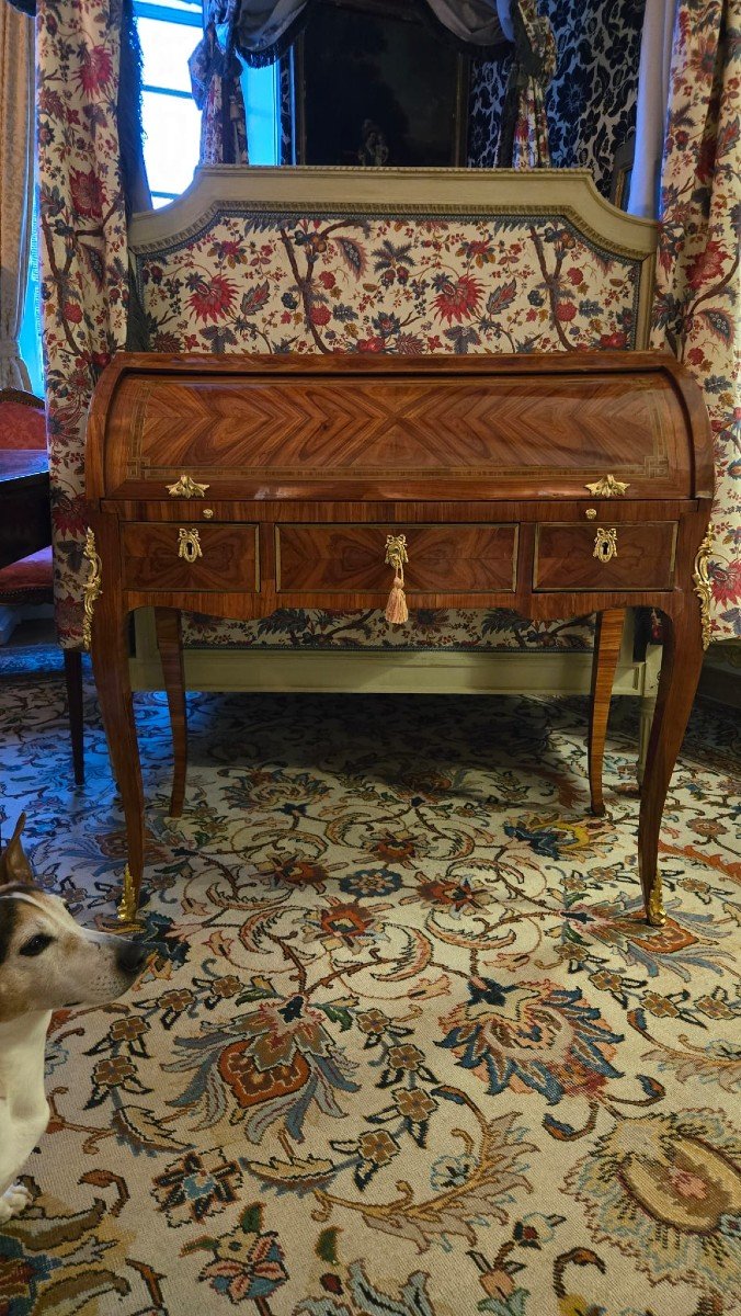 Mid-century Cylinder Desk, Parisian Work, Louis XV Period. -photo-2