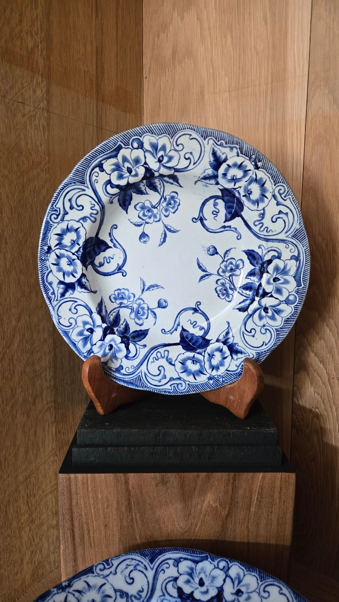 Creil Et Montereau - 12 Flora Model Soup Plates-photo-1