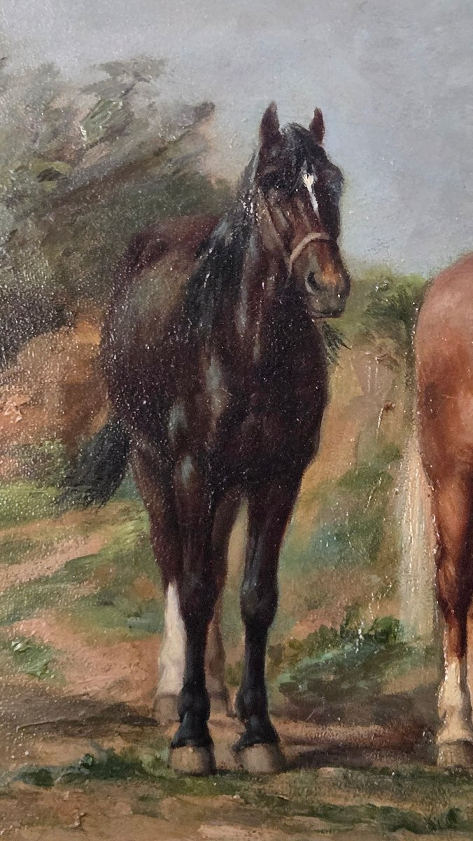 Alfred Leduc (1850–1913) "En train de brouter"   Huile sur toile,signée en bas à droite-photo-6