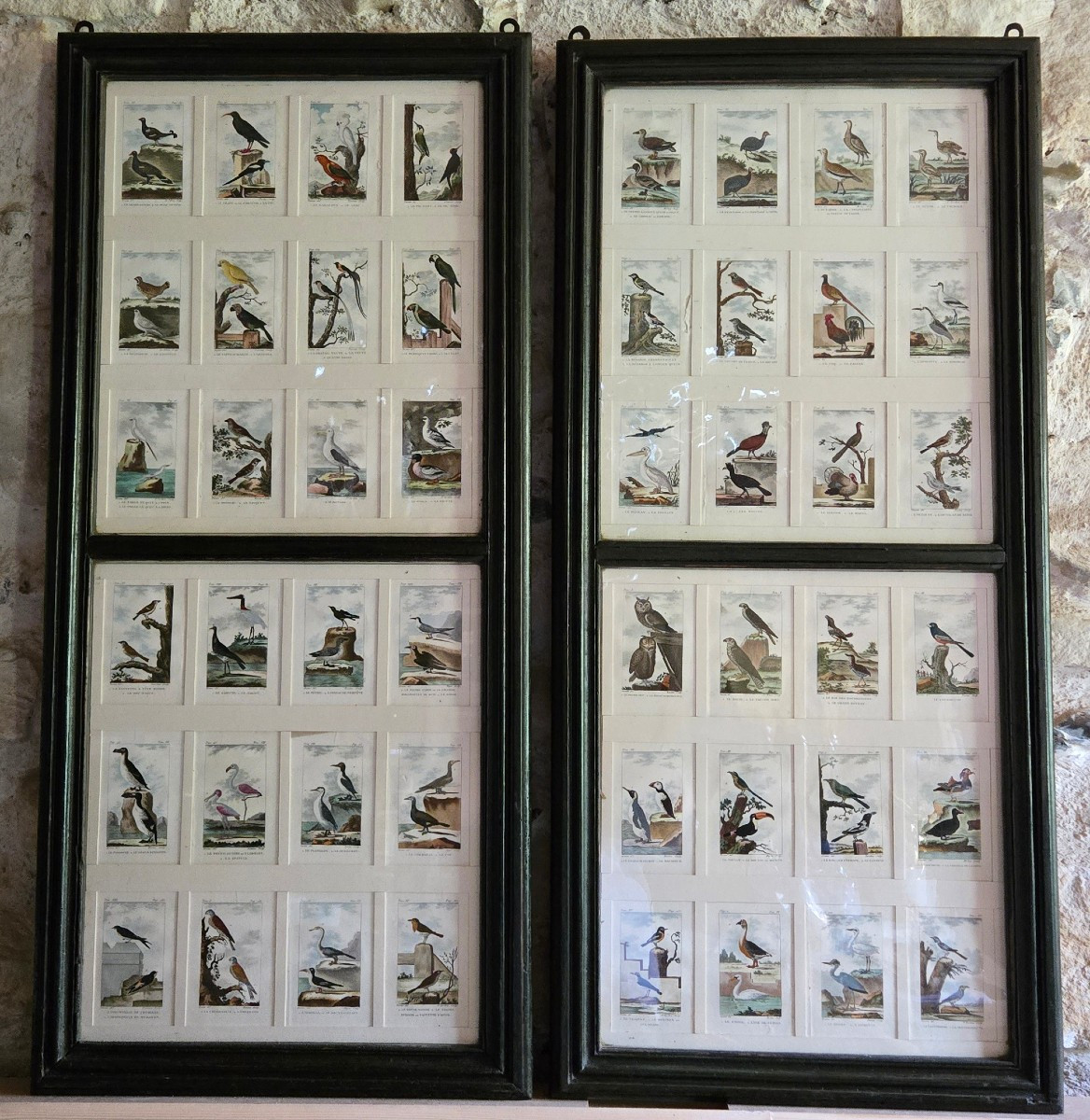Deux cadres de gravures ornithologiques – d’après Buffon, édition Deterville (1799–1805) 