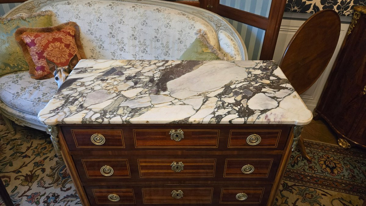 Louis XVI Period Chest Of Drawers In Satin And Amaranth Veneer, Late 18th Century-photo-3