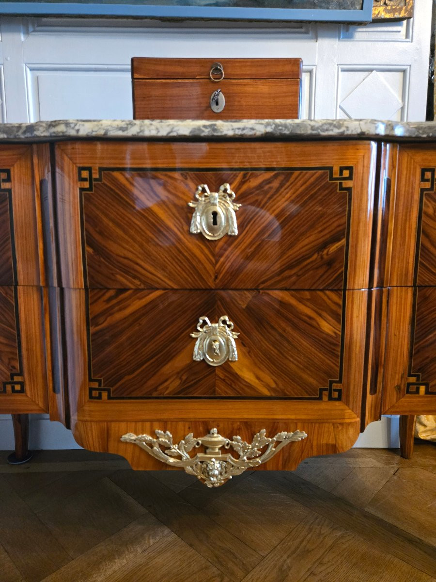 “greek-style” Chest Of Drawers In Violet And Rosewood, Work Attributed To Lyon Around 1780.  -photo-2