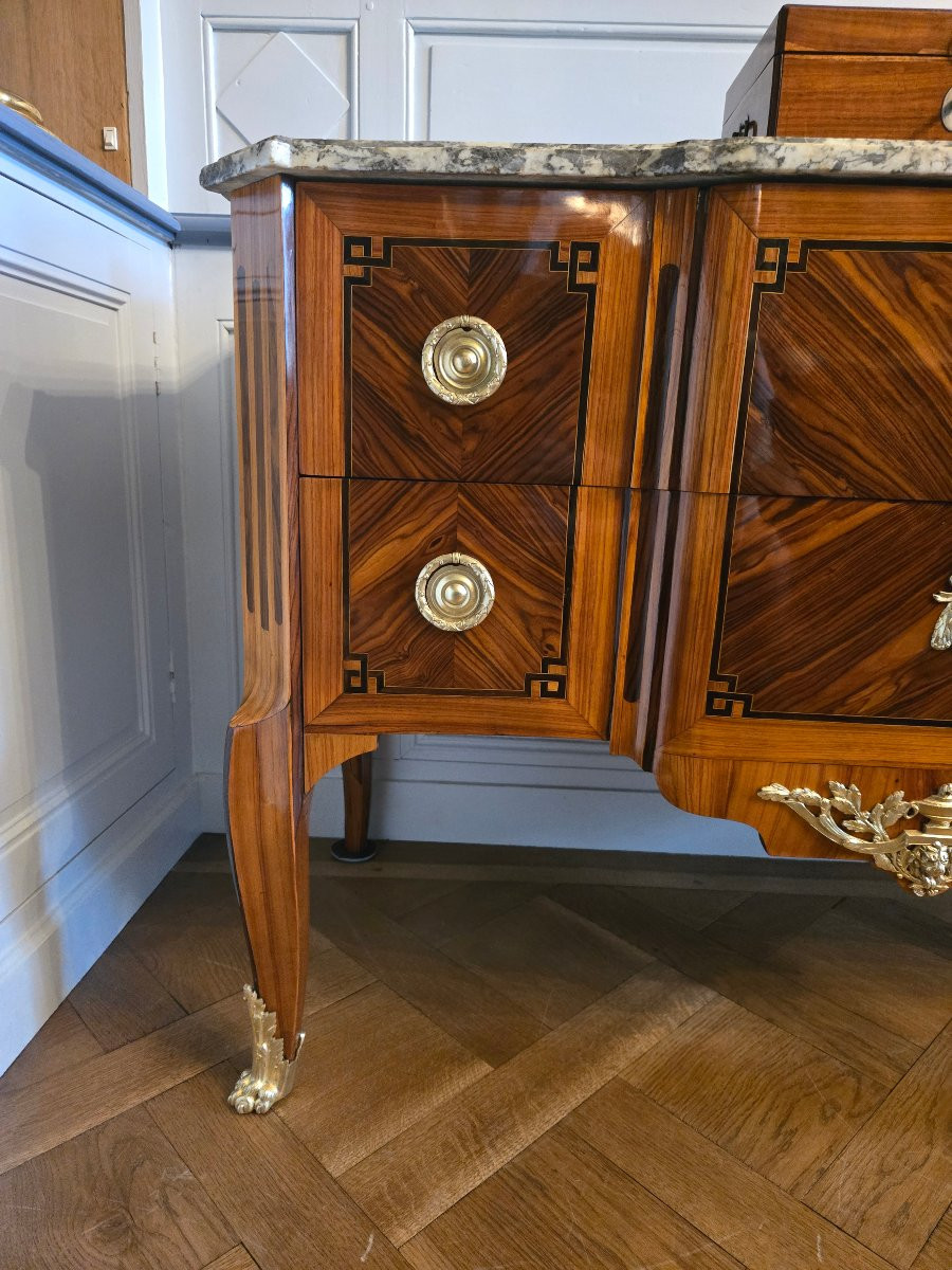 “greek-style” Chest Of Drawers In Violet And Rosewood, Work Attributed To Lyon Around 1780.  -photo-3