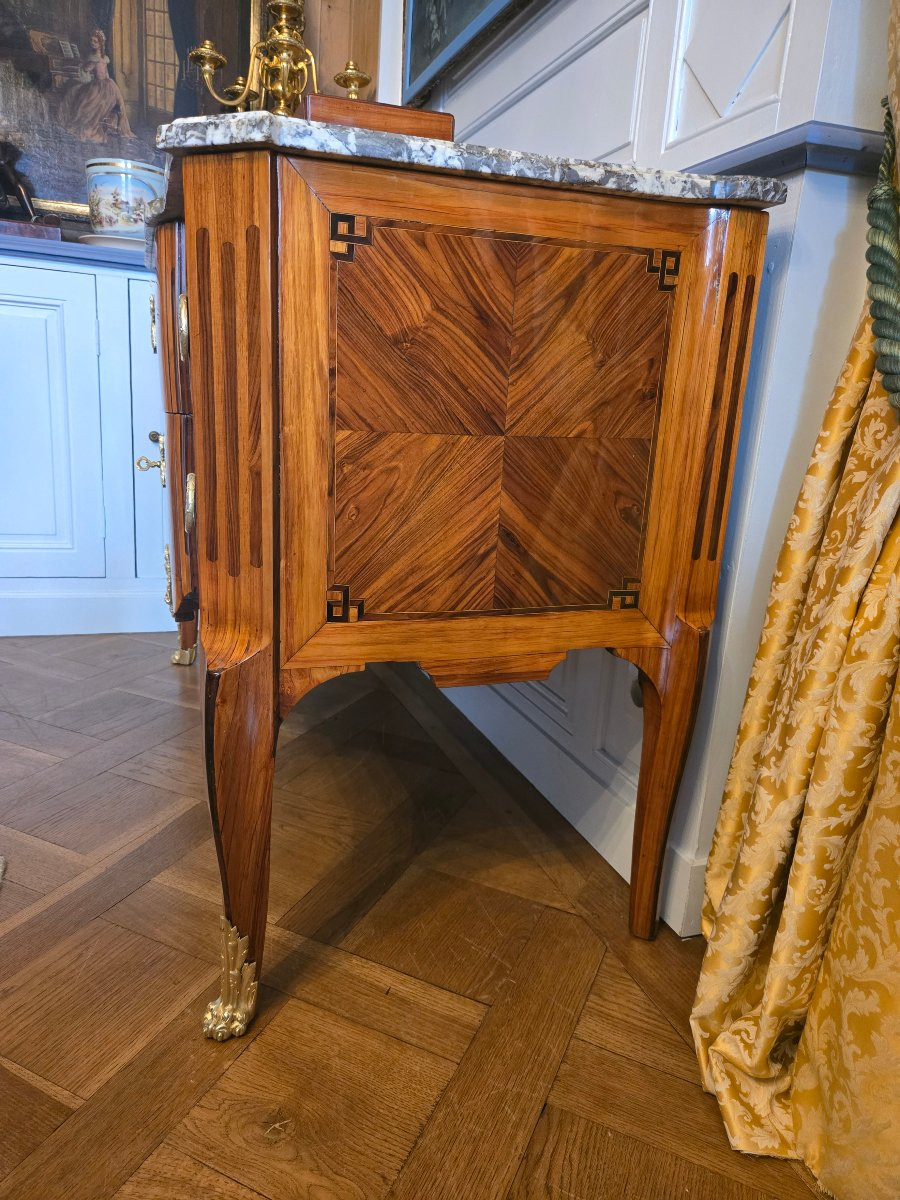 “greek-style” Chest Of Drawers In Violet And Rosewood, Work Attributed To Lyon Around 1780.  -photo-1