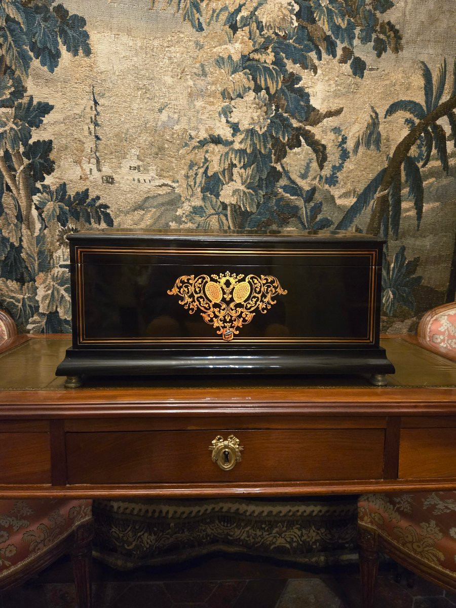 Important Casket With A Count's Crown, Maison Giroux, Paris.  -photo-2