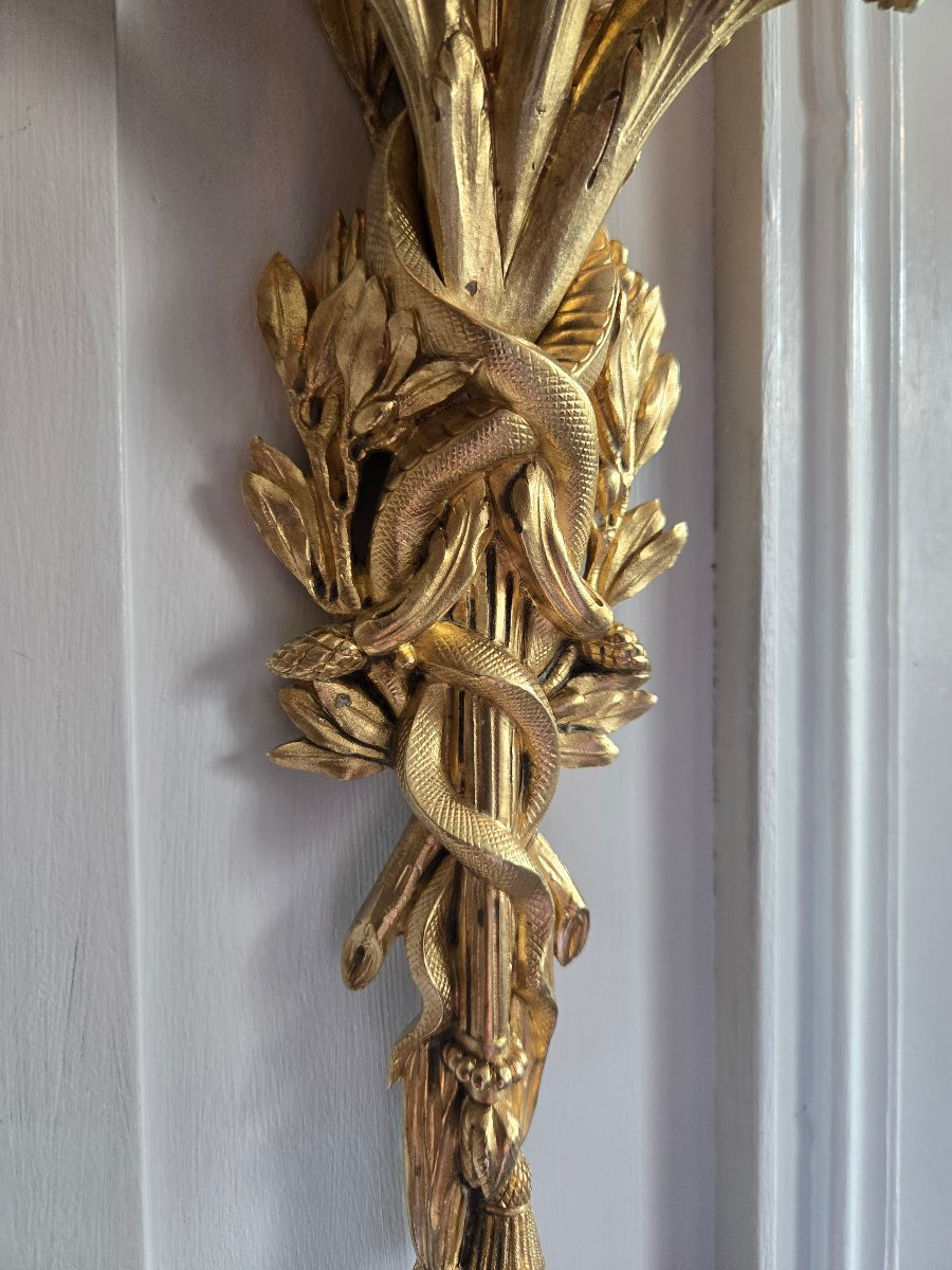 Paire d’appliques Louis XVI, d’après le modèle de Pierre Gouthière conservé au Louvre, XIXᵉ .-photo-2