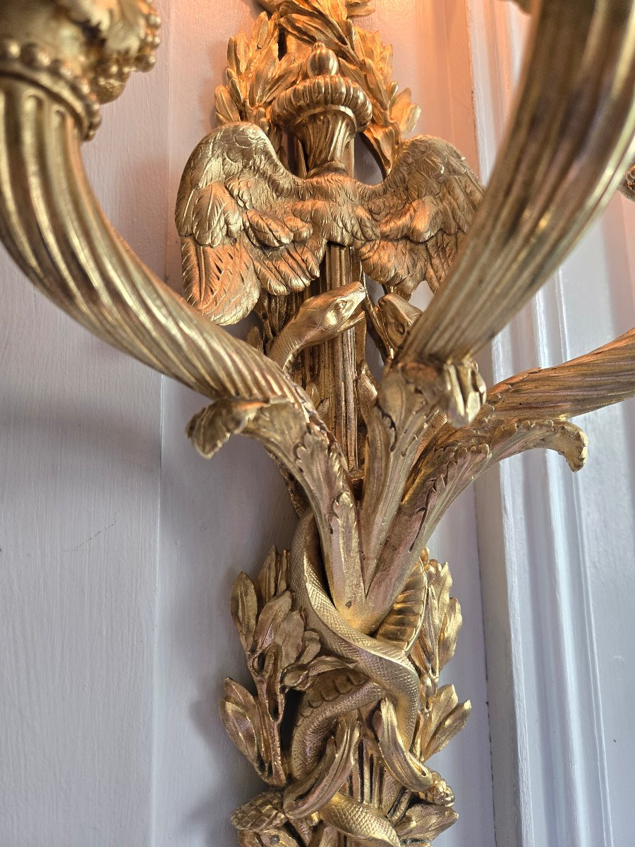 Paire d’appliques Louis XVI, d’après le modèle de Pierre Gouthière conservé au Louvre, XIXᵉ .-photo-3