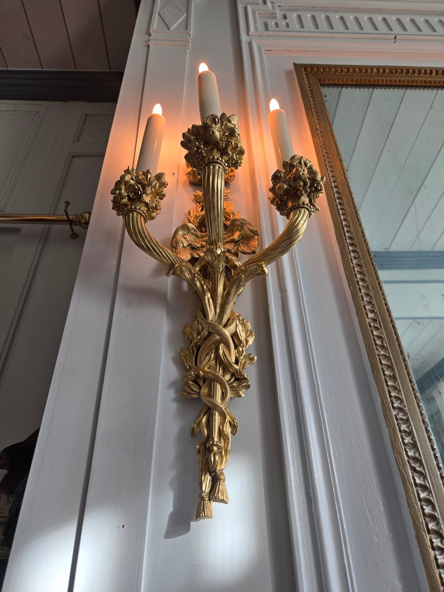 Paire d’appliques Louis XVI, d’après le modèle de Pierre Gouthière conservé au Louvre, XIXᵉ .-photo-6